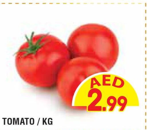  Tomato  in سوبرماركت هوم فريش ذ.م.م in الإمارات العربية المتحدة , الامارات - أبو ظبي