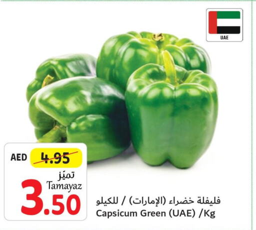  Chilli / Capsicum  in تعاونية الاتحاد in الإمارات العربية المتحدة , الامارات - دبي