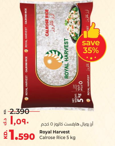  Egyptian / Calrose Rice  in لولو هايبر ماركت in الكويت - محافظة الجهراء