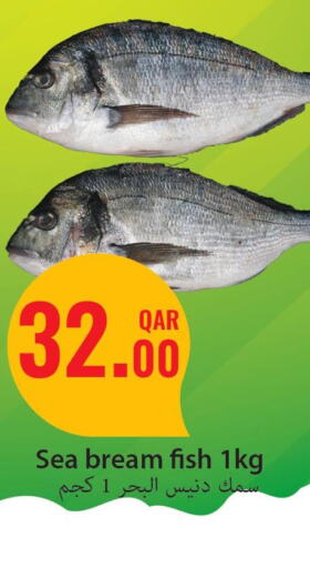  King Fish  in Regency Group in Qatar - Al Wakra