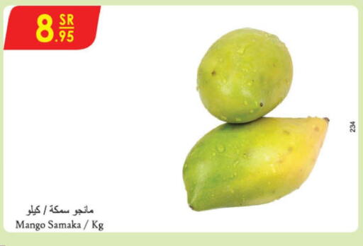 Mango   in Danube in KSA, Saudi Arabia, Saudi - Khamis Mushait