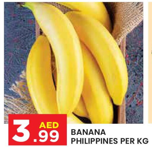  Banana  in سنابل بني ياس in الإمارات العربية المتحدة , الامارات - ٱلْعَيْن‎
