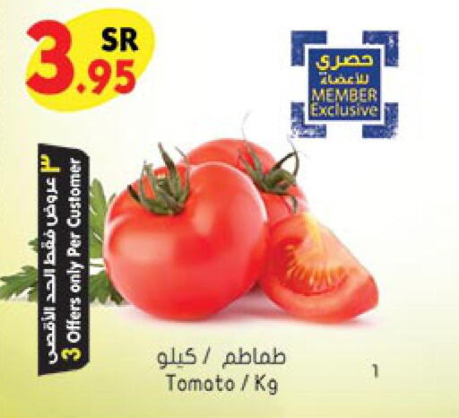  Tomato  in Bin Dawood in KSA, Saudi Arabia, Saudi - Mecca