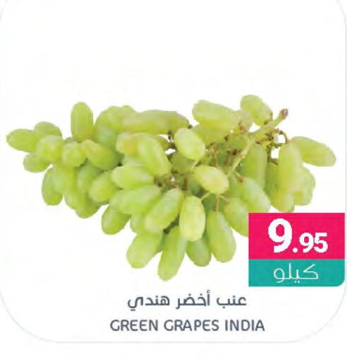  Grapes  in اسواق المنتزه in مملكة العربية السعودية, السعودية, سعودية - القطيف‎