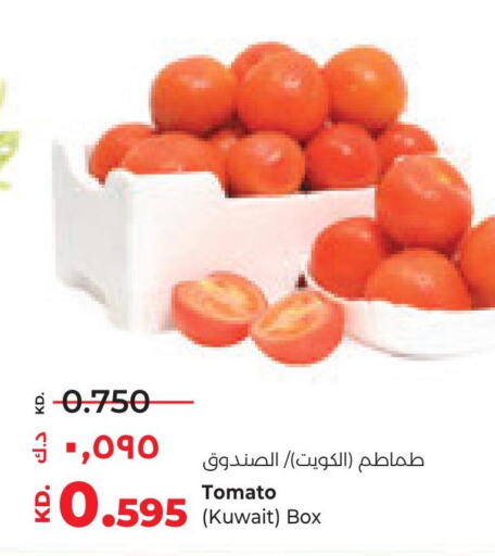  Tomato  in لولو هايبر ماركت in الكويت - مدينة الكويت