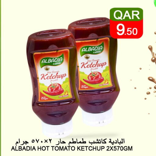  Tomato Ketchup  in قصر الأغذية هايبرماركت in قطر - الوكرة