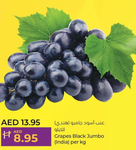  Grapes  in لولو هايبرماركت in الإمارات العربية المتحدة , الامارات - دبي