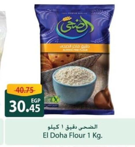  All Purpose Flour  in Spinneys  in Egypt - Cairo