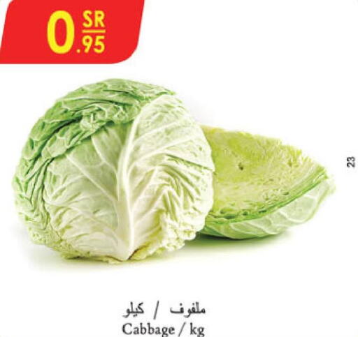  Cabbage  in الدانوب in مملكة العربية السعودية, السعودية, سعودية - الرياض