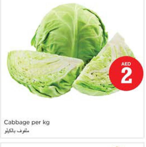  Cabbage  in Nesto Hypermarket in UAE - Sharjah / Ajman