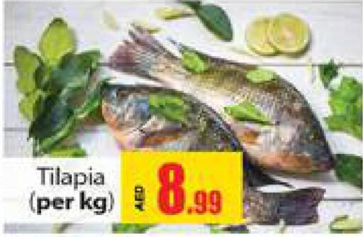  Tuna  in Gulf Hypermarket LLC in UAE - Ras al Khaimah