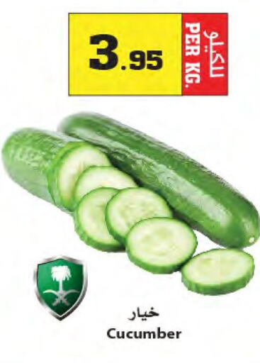  Cucumber  in أسواق النجمة in مملكة العربية السعودية, السعودية, سعودية - جدة