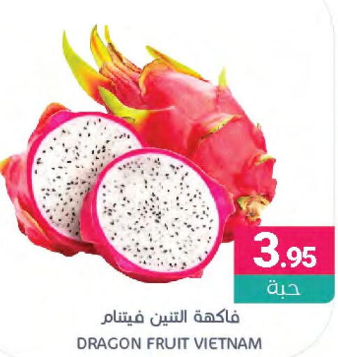  Dragon fruits  in اسواق المنتزه in مملكة العربية السعودية, السعودية, سعودية - القطيف‎