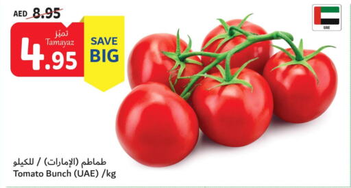  Tomato  in تعاونية الاتحاد in الإمارات العربية المتحدة , الامارات - الشارقة / عجمان