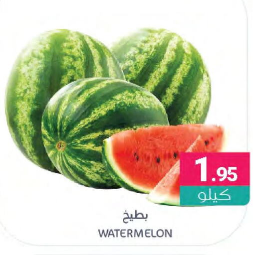  Watermelon  in اسواق المنتزه in مملكة العربية السعودية, السعودية, سعودية - القطيف‎