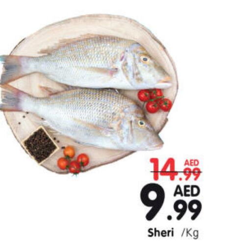  in Al Madina Hypermarket in UAE - Abu Dhabi