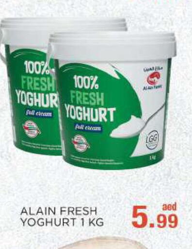 AL AIN Yoghurt  in سي.ام. سوبرماركت in الإمارات العربية المتحدة , الامارات - أبو ظبي