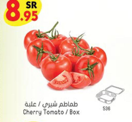  Tomato  in بن داود in مملكة العربية السعودية, السعودية, سعودية - المدينة المنورة