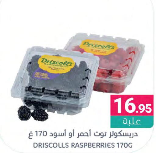  Berries  in اسواق المنتزه in مملكة العربية السعودية, السعودية, سعودية - القطيف‎