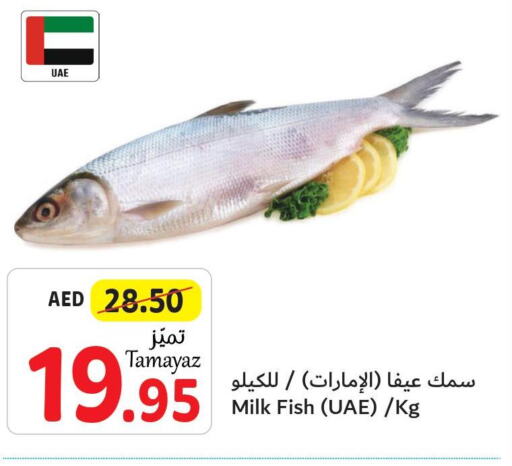  King Fish  in Union Coop in UAE - Sharjah / Ajman