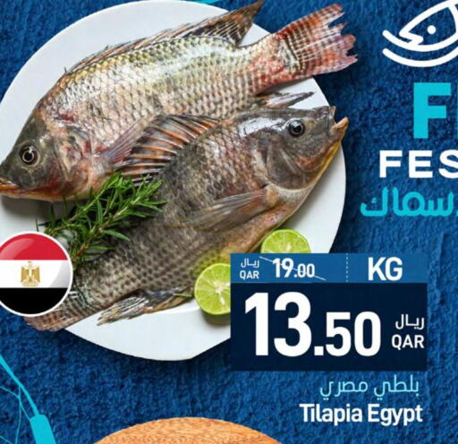  King Fish  in SPAR in Qatar - Al Rayyan