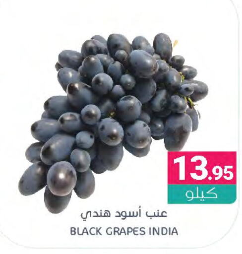  Grapes  in اسواق المنتزه in مملكة العربية السعودية, السعودية, سعودية - القطيف‎