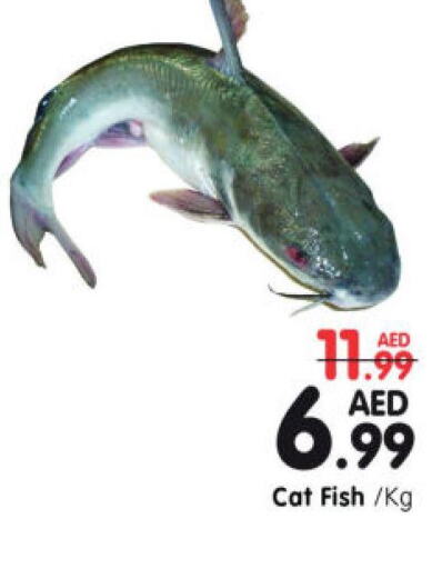  Tuna  in Al Madina Hypermarket in UAE - Abu Dhabi