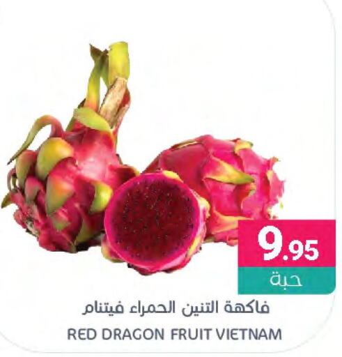  Dragon fruits  in اسواق المنتزه in مملكة العربية السعودية, السعودية, سعودية - القطيف‎