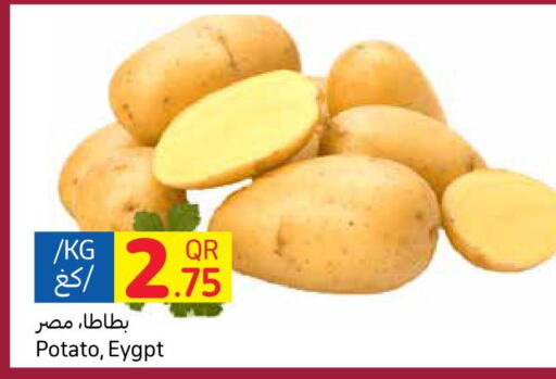 Potato  in كارفور in قطر - الخور