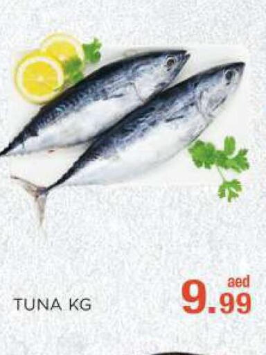  Tuna  in C.M. supermarket in UAE - Abu Dhabi