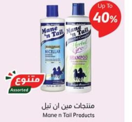  Shampoo / Conditioner  in Hyper Panda in KSA, Saudi Arabia, Saudi - Najran