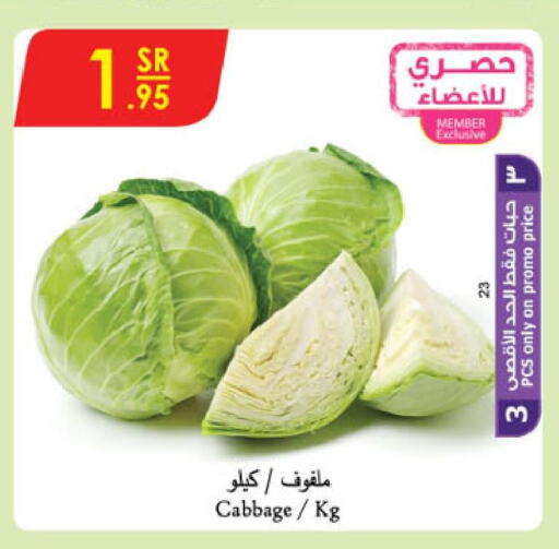  Cabbage  in الدانوب in مملكة العربية السعودية, السعودية, سعودية - مكة المكرمة