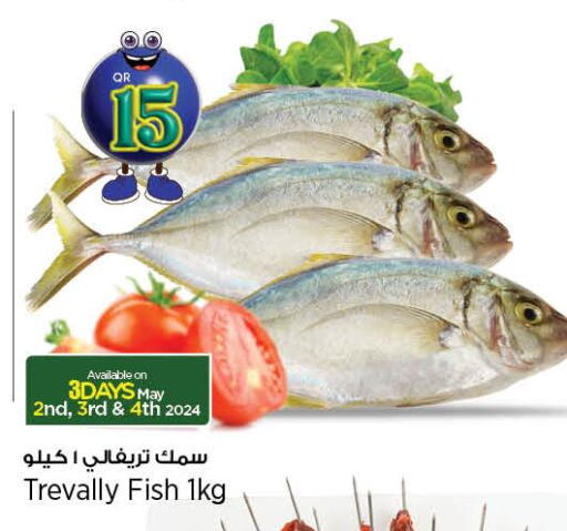  King Fish  in سوبر ماركت الهندي الجديد in قطر - الخور