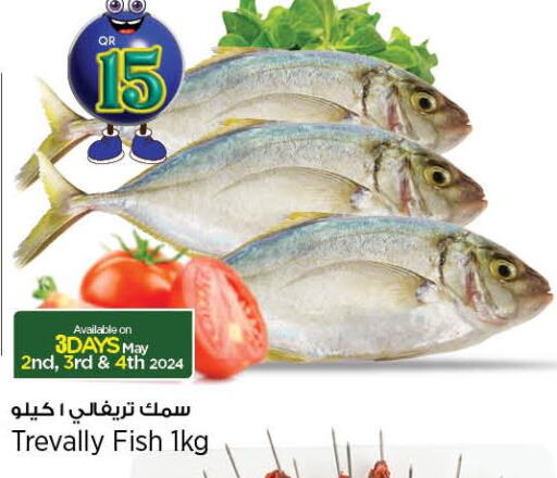  King Fish  in ريتيل مارت in قطر - الوكرة