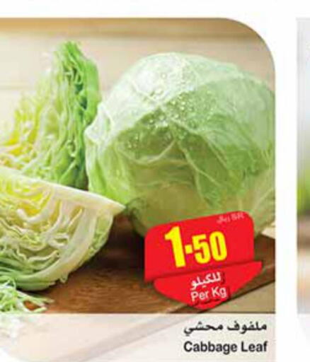  Cabbage  in Othaim Markets in KSA, Saudi Arabia, Saudi - Al Hasa
