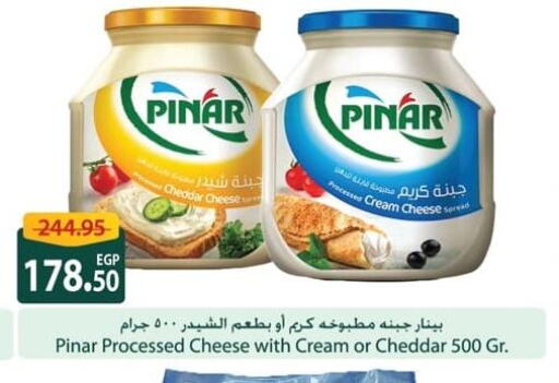 PINAR Cheddar Cheese  in سبينس in Egypt - القاهرة