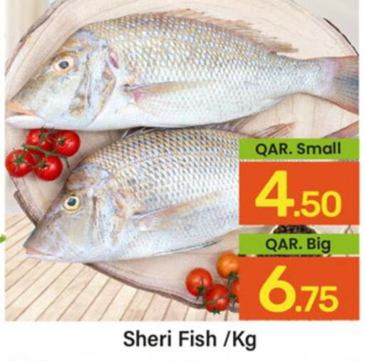  King Fish  in Paris Hypermarket in Qatar - Doha