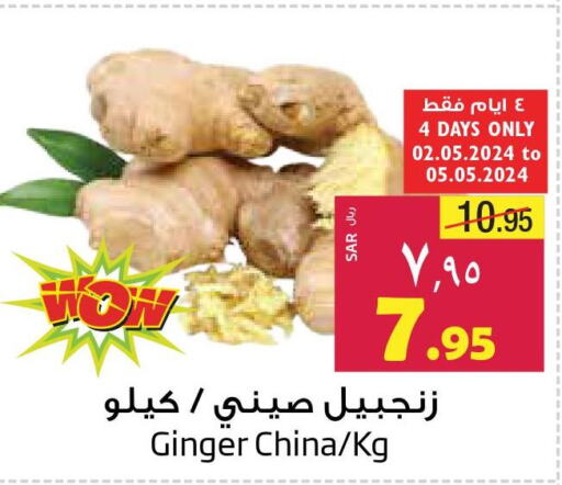  Ginger  in ليان هايبر in مملكة العربية السعودية, السعودية, سعودية - الخبر‎