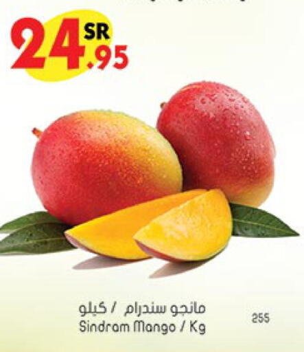 Mango   in بن داود in مملكة العربية السعودية, السعودية, سعودية - المدينة المنورة