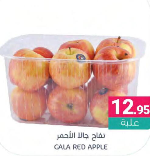  Apples  in اسواق المنتزه in مملكة العربية السعودية, السعودية, سعودية - القطيف‎