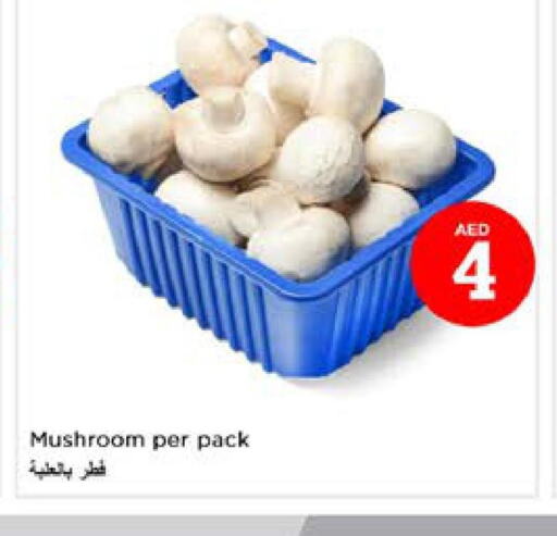 Mushroom  in Nesto Hypermarket in UAE - Sharjah / Ajman