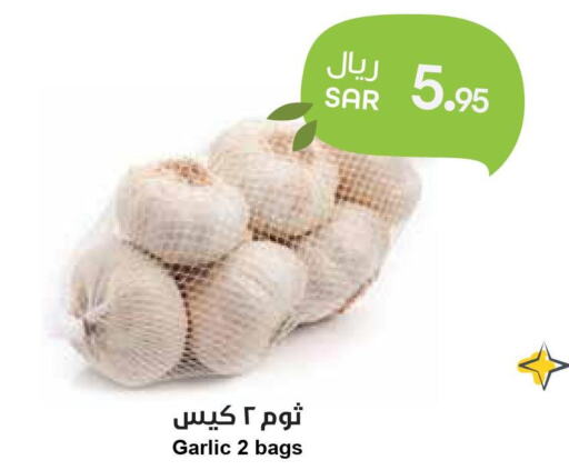  Garlic  in Consumer Oasis in KSA, Saudi Arabia, Saudi - Riyadh