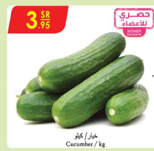  Cucumber  in الدانوب in مملكة العربية السعودية, السعودية, سعودية - الخبر‎