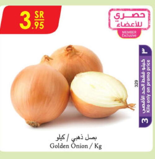  Onion  in الدانوب in مملكة العربية السعودية, السعودية, سعودية - جازان