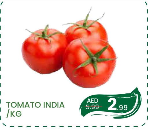  Tomato  in مدهور سوبرماركت in الإمارات العربية المتحدة , الامارات - دبي
