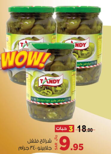TANDY Spices / Masala  in Supermarket Stor in KSA, Saudi Arabia, Saudi - Riyadh