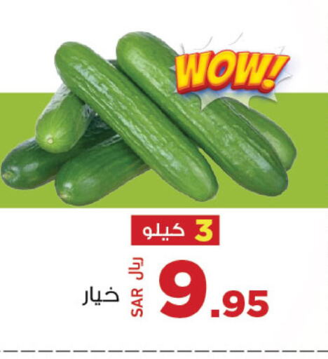  Cucumber  in مخازن سوبرماركت in مملكة العربية السعودية, السعودية, سعودية - جدة