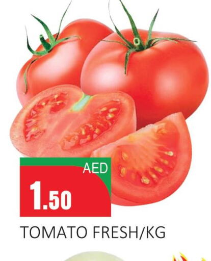  Tomato  in سوبرماركت دونتون فرش in الإمارات العربية المتحدة , الامارات - ٱلْعَيْن‎