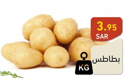  Potato  in أسواق رامز in مملكة العربية السعودية, السعودية, سعودية - الأحساء‎