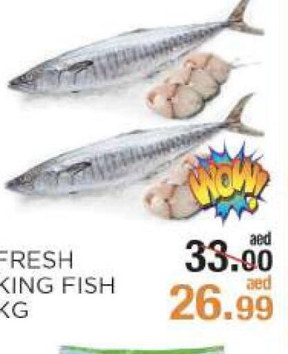  King Fish  in Rishees Hypermarket in UAE - Abu Dhabi
